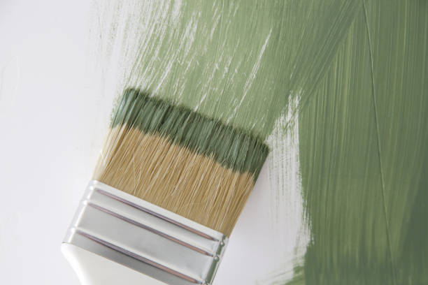 Best Mold Odor Removal Services  in North Merrick, NY