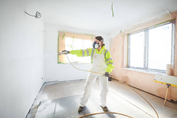 Best Asbestos and Lead Testing During Mold Inspection  in North Merrick, NY