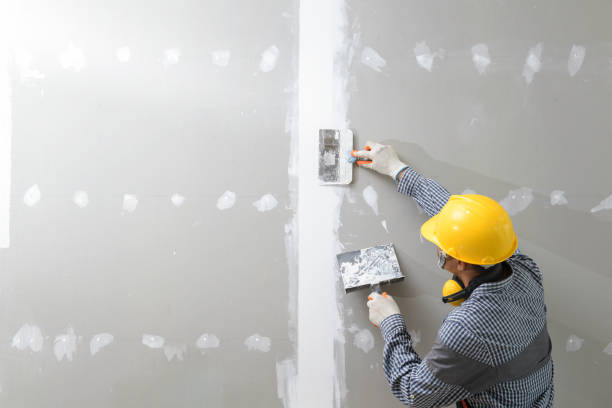 Best Mold Removal for HVAC Installations  in North Merrick, NY
