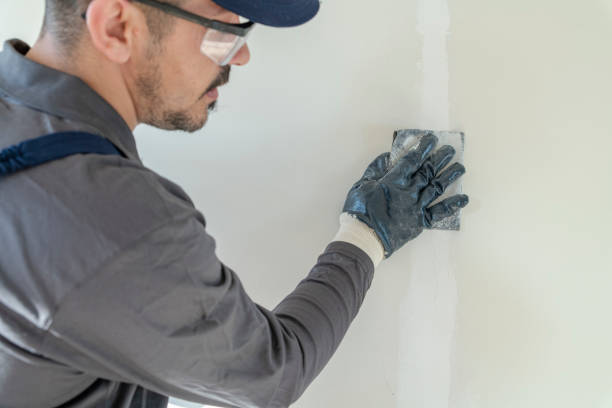 Best Forensic Mold Investigation  in North Merrick, NY
