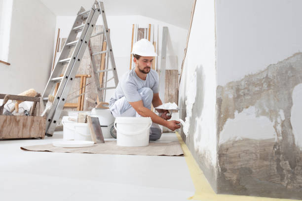 Best Airborne Mold Testing  in North Merrick, NY