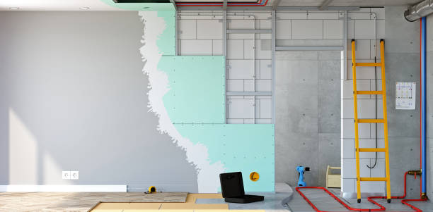 Best Mold Documentation for Insurance Claims  in North Merrick, NY