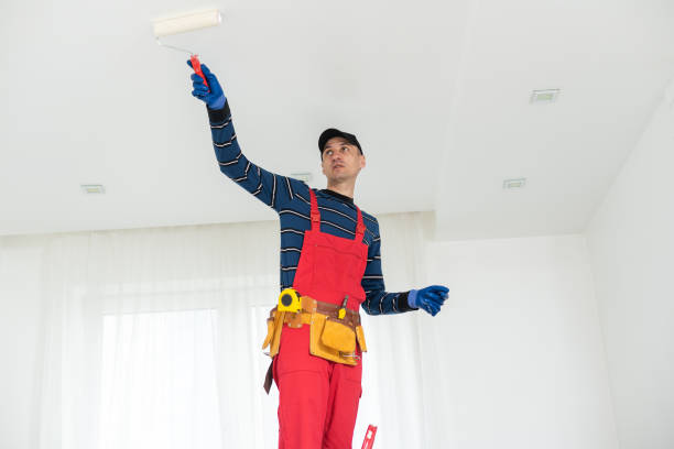 Best Mold Remediation for Healthcare Facilities  in North Merrick, NY