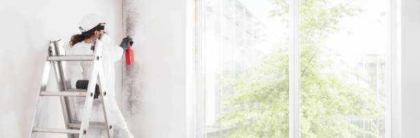 Best Air Quality Testing for Mold Spores  in North Merrick, NY